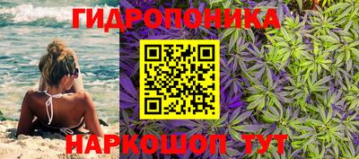 ГАЛЛЮЦИНОГЕННЫЕ ГРИБЫ Донской