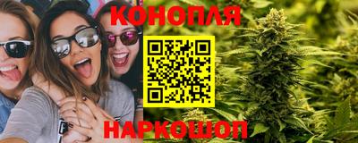 сатива Дубна