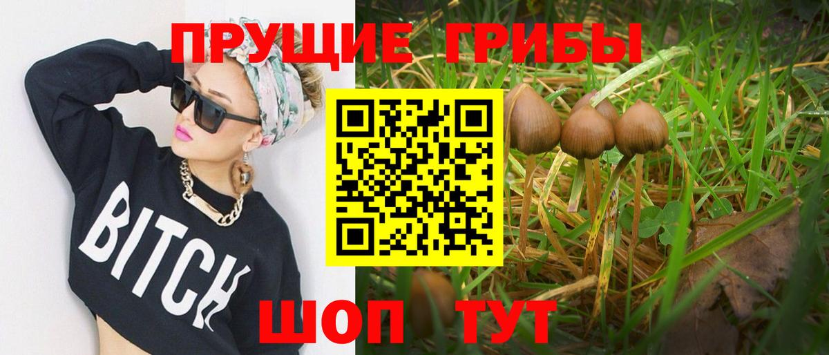 Грозный  Галлюциногенные грибы ЛСД  Вход с VPN 