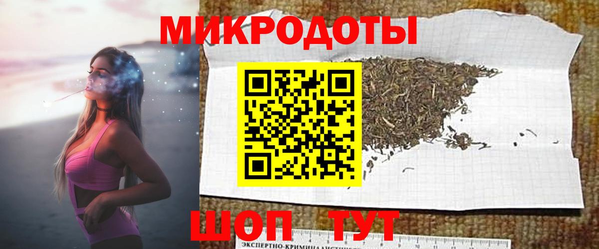 Псилоцибиновые грибы Cubensis Грозный
