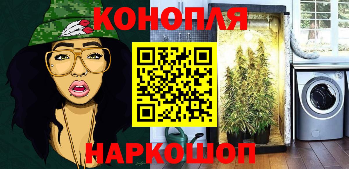 Конопля White Widow  Вход с VPN  Грозный  Канабис Amnesia  Каннабис тримм  Конопля Amnesia 